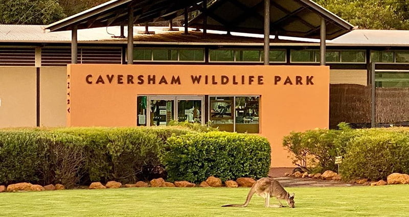 Home Caversham Wildlife Park